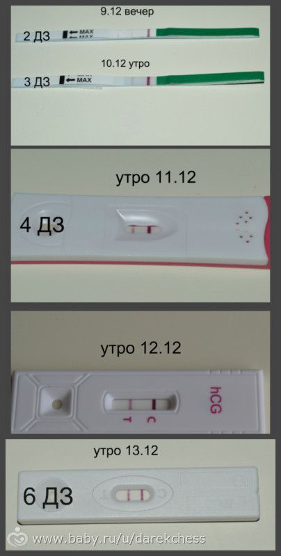 Бледные тесты на беременность отзывы Бледные тесты на беременность отзывы