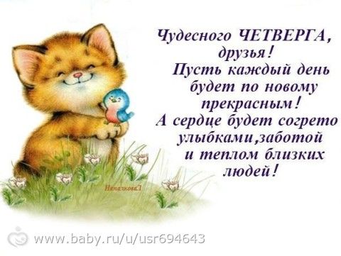 Прикольные открытки с добрым утром вторника Прикольные открытки с добрым утром вторника