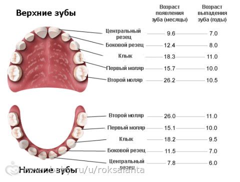 Опухла десна, что делать и как лечить Лактофильтрум АВВА РУС Отзывы покупателей - IRecommend