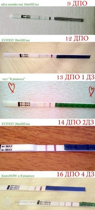 Как сделать чтобы тест показал одну полоску