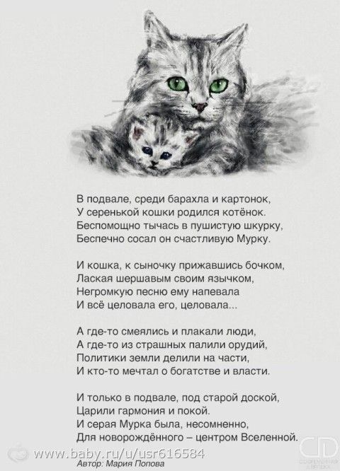 Котенок стих для любимого Котенок стих для любимого