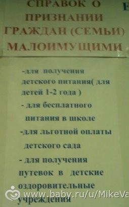 Какие цветы дарить на свадьбу молодоженам Как сделать крем густым сливочный