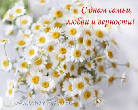 День семьи в 2018 году дата День семьи в 2018 году дата
