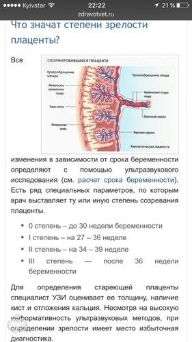 Что принимать при болях в животе при беременности