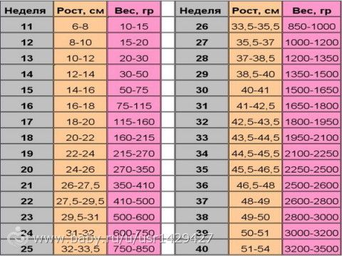 Почему при беременности вес не прибавляется Почему при беременности вес не прибавляется