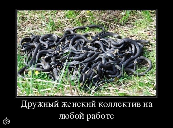 Как сделать пистолет из бумаги Как сделать кожу матовой и гладкой в Photoshop - Photoshop - Мир