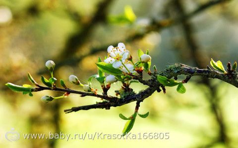 Марафон &amp;amp;amp;quot;Радужная весна&amp;amp;amp;quot;! Задания на понедельник.(04.04.2016)