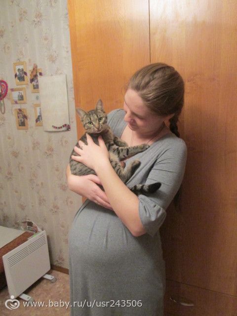 Анкета родов