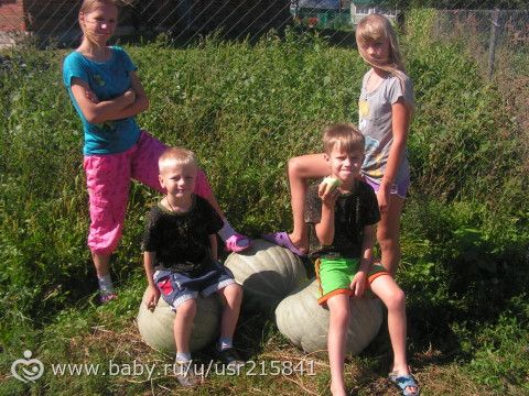 А вот что у нас выросло!