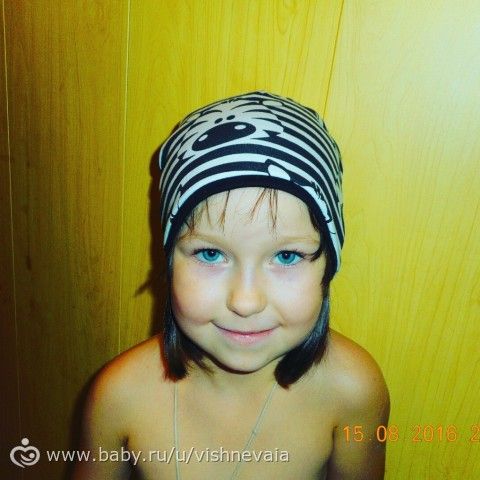 Веселые зебры?