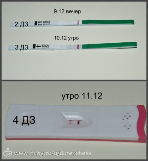 Сегодня 4 ДЗ