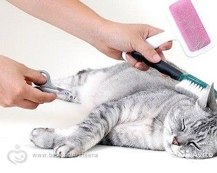 Уход за котЭ (для себя)