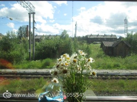 Путешествие в Мурманск