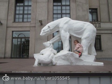 Путешествие в Мурманск