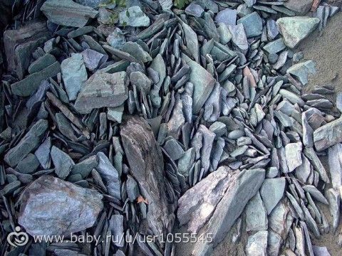 В город Сланцы что ли поехать...