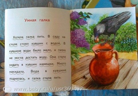 Наши новинки!