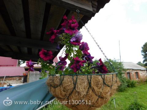Моя преелеесть))) для души