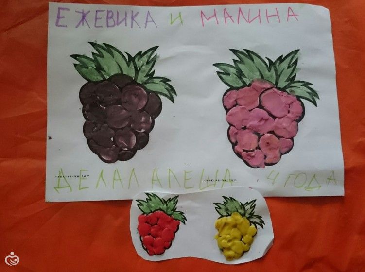 ТН ягоды