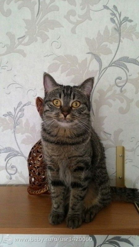 А давайте познакомимся.