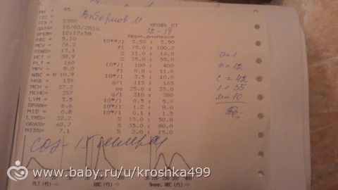 наши новости