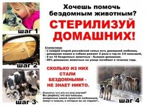 У вас есть домашнее животное?