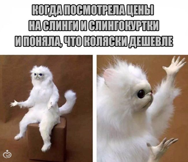 Слинговставка