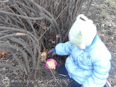 Масленица.Как мы мишку будили. 3г3м