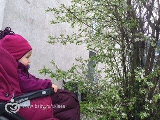 Весенний марафон &amp;amp;quot;Весна красна&amp;amp;quot;. Отчетный пост 1