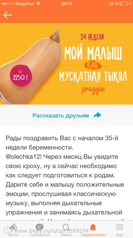 Наши 34 недели.