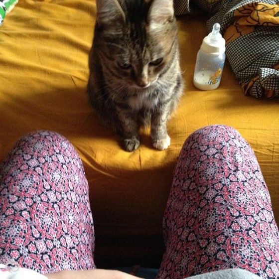 Пока кормила Сашу ...