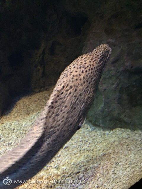 Отдых в Сочи в сентябре