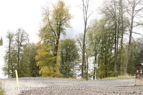 Отдых в Сочи в сентябре