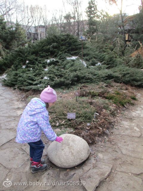Аптекарский огород. (18.03.17) Часть 10. На улице.