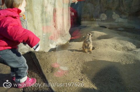 Мюнхенский зоопарк Hellabrunn