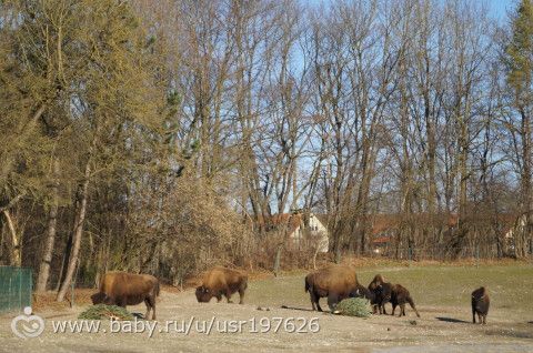 Мюнхенский зоопарк Hellabrunn