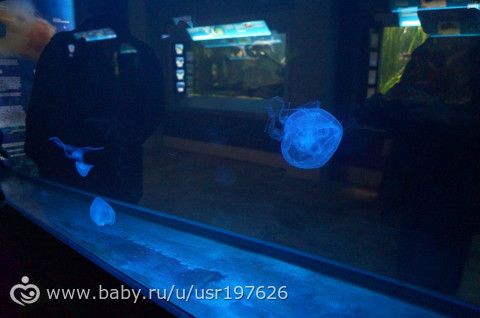 Мюнхенский зоопарк Hellabrunn