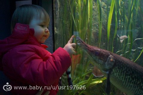 Мюнхенский зоопарк Hellabrunn