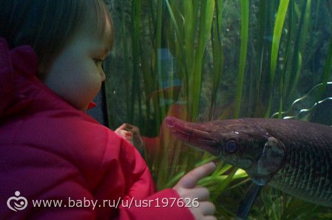 Мюнхенский зоопарк Hellabrunn