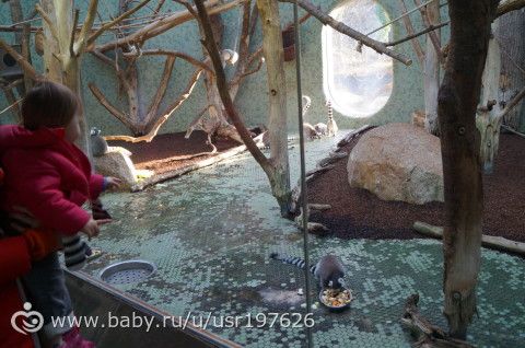 Мюнхенский зоопарк Hellabrunn