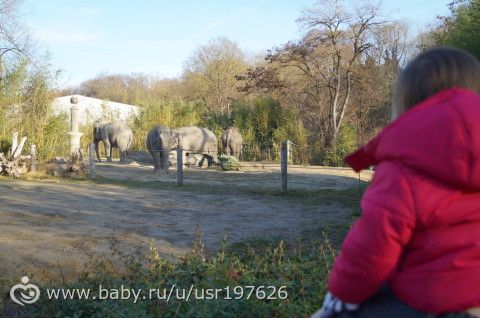 Мюнхенский зоопарк Hellabrunn