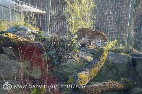 Мюнхенский зоопарк Hellabrunn