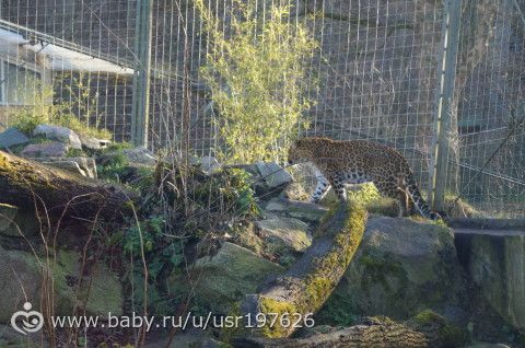 Мюнхенский зоопарк Hellabrunn
