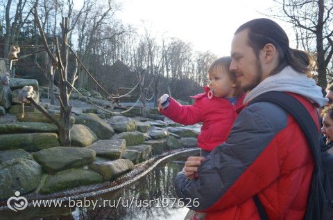 Мюнхенский зоопарк Hellabrunn