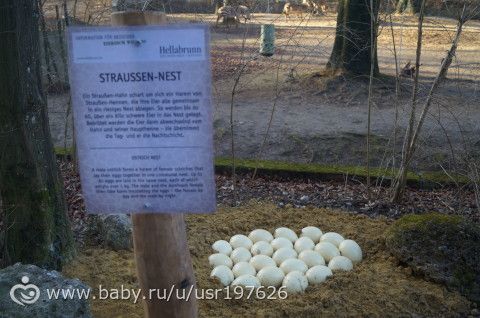 Мюнхенский зоопарк Hellabrunn