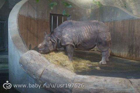 Мюнхенский зоопарк Hellabrunn