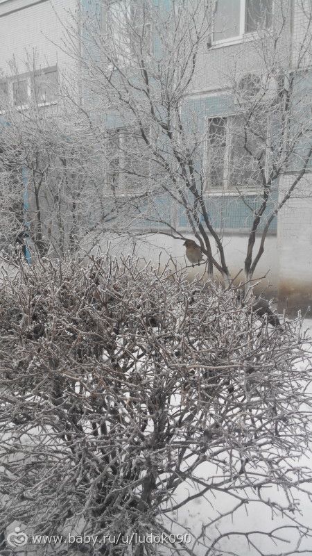 Запахло весной))