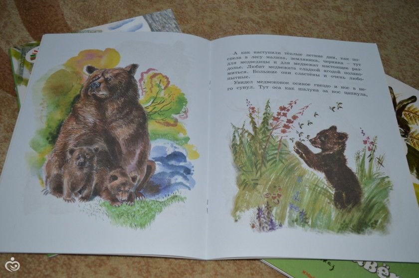 Книжное пополнение ноябрь.