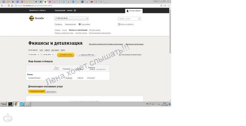 Отчет по сбору Лены Староверовой за сентябрь.