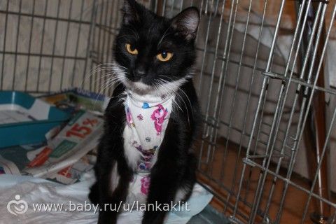Волонтёрские будни. Или в тихом омуте черти эмейзят.