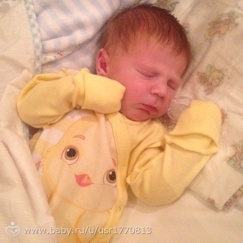 О Вовочке! (фото)